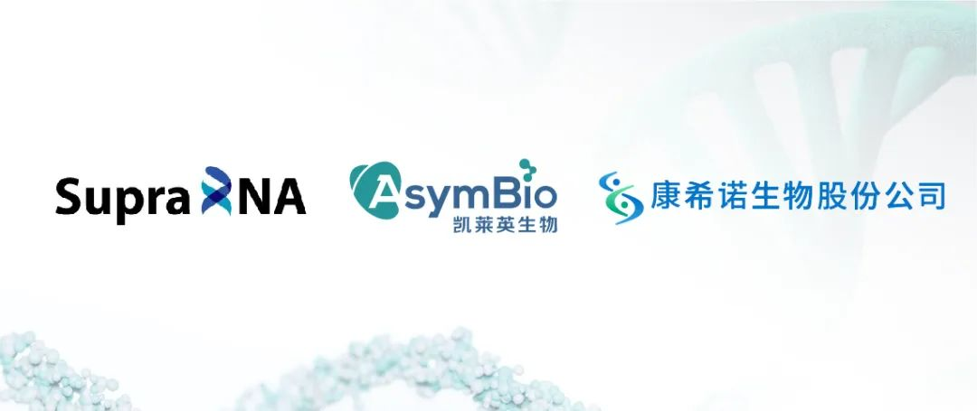 pp电子模拟器(试玩游戏)官方网站